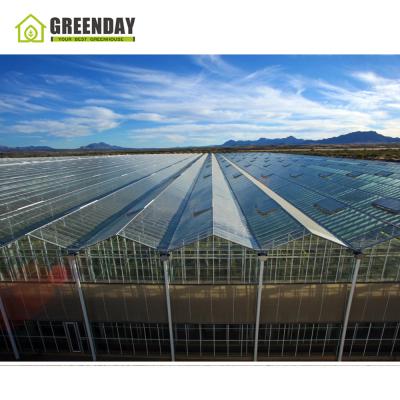 China Stable structure GREENDAY multi-span greenhouse cheap seedling glass greenhouse for sale for sale