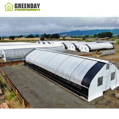 China Stable Structure GREENDAY Greenhouse Greenhouse Deprivation Lightweight Steel Greenhouse Automated Blackout Greenhouse Four Seasons for sale