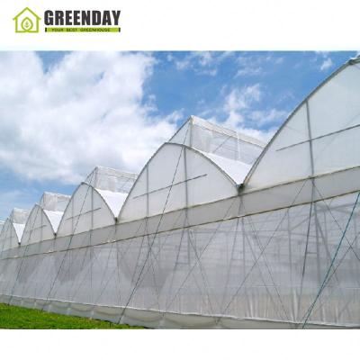 China Lowest Price Stable Multi Span Structure GREENDAY Multi-Span Agricultural Greenhouse For Agricultural for sale