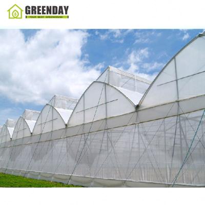 China Lowest Price Stable Multi Span Structure GREENDAY Shade Net Agricultural Greenhouse For Sale for sale