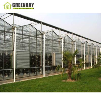 China Best quality stable gothic venlo glass structure GREENDAY green house for breeding for sale