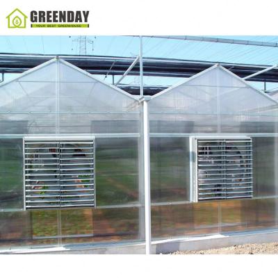 China Stable Structure GREENDAY Polycarbonate Green House Greenhouses For Agriculture for sale