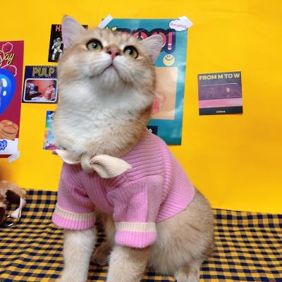 China Sustainable Bow-tied Cat Teddy Sweater Pet Supplies Dog Clothes Winter Sweater Coat For Pets for sale