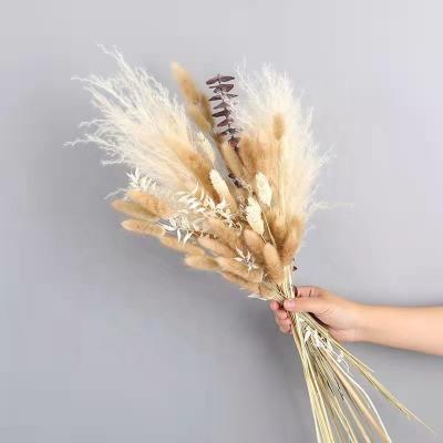 China Wholesale Natural Small Pampas Grass Bouquet Wedding Home Decoration Touch Preserved Dried Flowers Pampas for sale