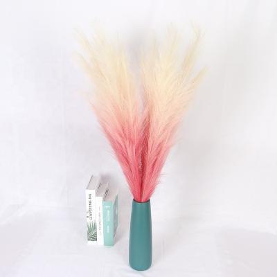 China Natural Touch Gradient Simulation Pampas Grass Bouquet Home Wedding Decor Dried Flowers Plants Preserved Pampas Grass Tall for sale