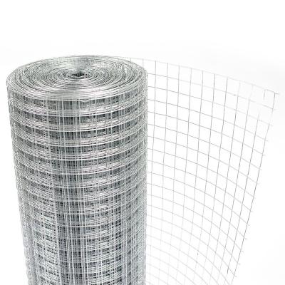 China Corrosion Resistance Hot Dip Galvanized After Weld - Chicken Wire Mesh Roll Galvanized Wire Mesh Roll Garden Fence Tree Guard Welded Wire Fencing for sale