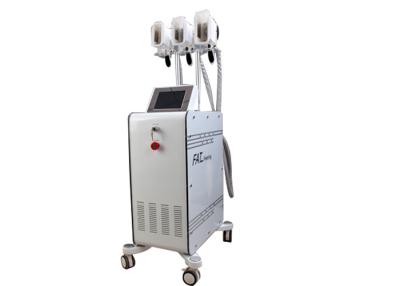 China Weight Loss Cryolipolysis Machine for sale