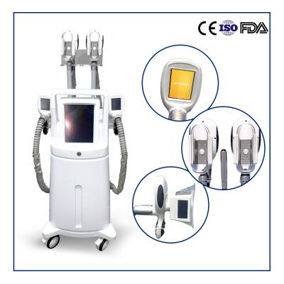 China Máquina gorda do emagrecimento do corpo de Cryolipoysis da máquina da remoção de 4 punhos com certificado do CE à venda