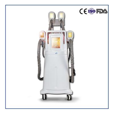 China China Factory Cryolipolysis Slimming Machine Fat Removal Beauty Machine for sale