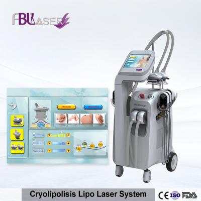 China Zerona Laser Cryolipolysis Machine Cryotherapy 10.4 Inch For Body Slimming for sale