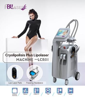 China Cryolipolysis Lipo Laser, der /Freezing-Fettabsaugungs-Maschine abnimmt zu verkaufen