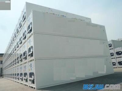 China Refrigeration container and cold storage chain for sale