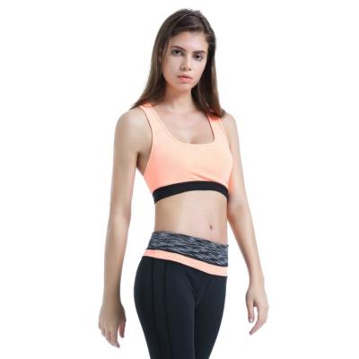 China High Quality Basic Breathable Sports Wireless Bra In Running Workout Yoga Set Gym Sport Plain Wear Ready To Ship for sale