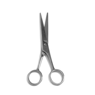 China Professional 6.5 Inch Thinning Scissors Stainless Steel Hair Cutting Beauty Hair Scissors for sale