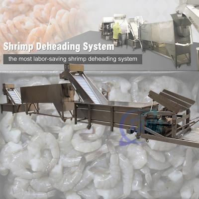 Chine Machine à décaper les crevettes industrielles SUS316 Durable pour couper la tête à vendre