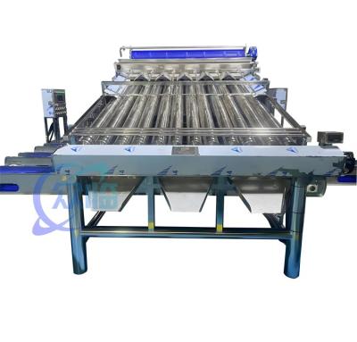 China 4900W SUS304 Máquina de classificação de camarão, Máquina de classificação de lavagem de camarão durável à venda