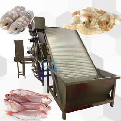 China 380V 50Hz Shrimp Grader Machine , Durable Seafood Process Equipment for sale