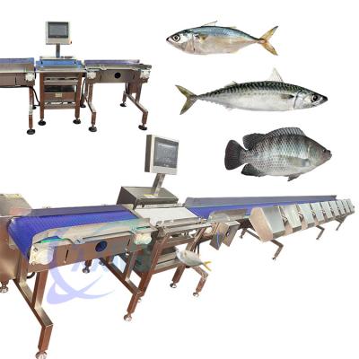 China China Speciality Crap Fish Grader Crap Fish Sorter Crap Fish Sizter Crap Fish Classify for sale