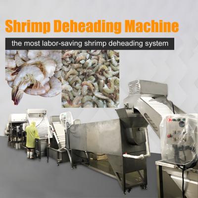 Cina Shrimp Head Removal Machine Shrimp Processing Line Head Removal in vendita