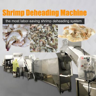 China Smart Shrimp Head Removal Screening Machine for Seafood Processing Factory Efficient Shrimp Head Cutting Machine Te koop