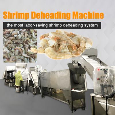 China Automatic Shrimp Deheading System Production Line Te koop