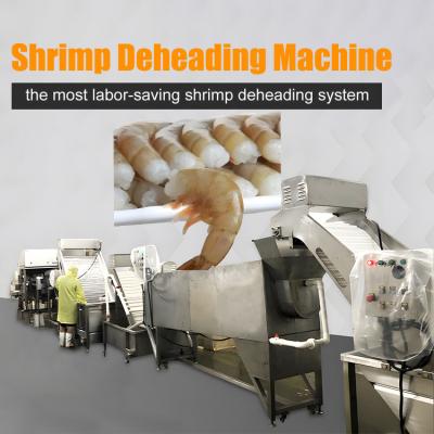 Cina Automatic Light Sensitive Shrimp Head Screening Machine Intelligent Shrimp Head Sorting Machine in vendita