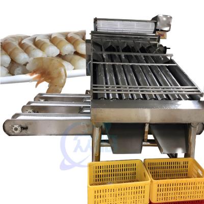 China Farmed shrimp harvest rapid sorting and size specification machine Shrimp sorting machine en venta