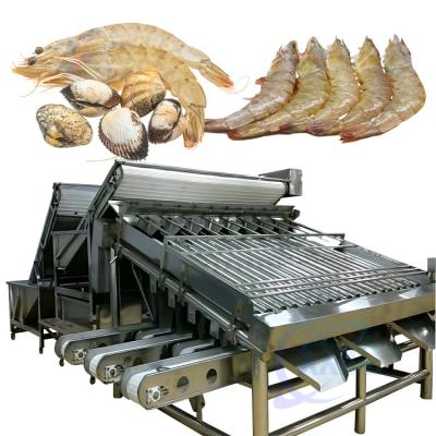 China Automated food processing line fish sorting machine Shrimp cleaning and sorting machine Te koop