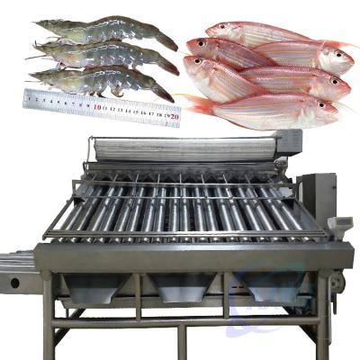 China automatic fish grading machine sorting machine fish size grading machine for sale