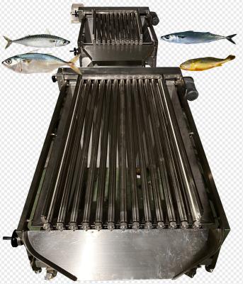 China Four Styles Automatic Pelagic Fish Classifying Line And Sorting Small Fish Line Te koop