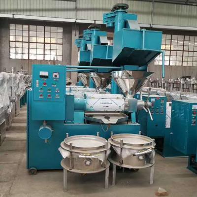 China Oil Pressing Black Soldier Fly Larvae Oil Expeller BSF Oil Filter Press Machine for sale