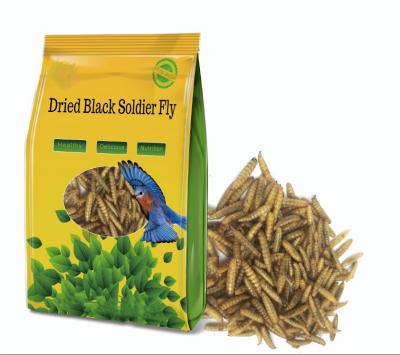 China Viable Dried Black Soldier Fly Larvae, Black Soldier Fly Protein, Black Soldier Fly Microwave for sale