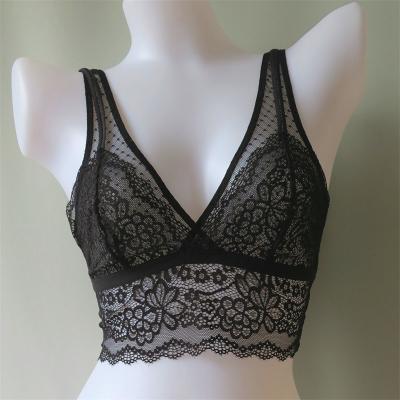 China Wholesale Elegant Women's Sexy Mesh Wireless No Padded Fancy Dotted Top Lace Bra QUICK DRY Bra Ties for sale