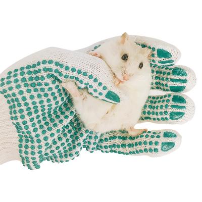 China Top Quality and Reasonable Viable in Price Hedgehog Pet Bite Resistant Mitt for sale