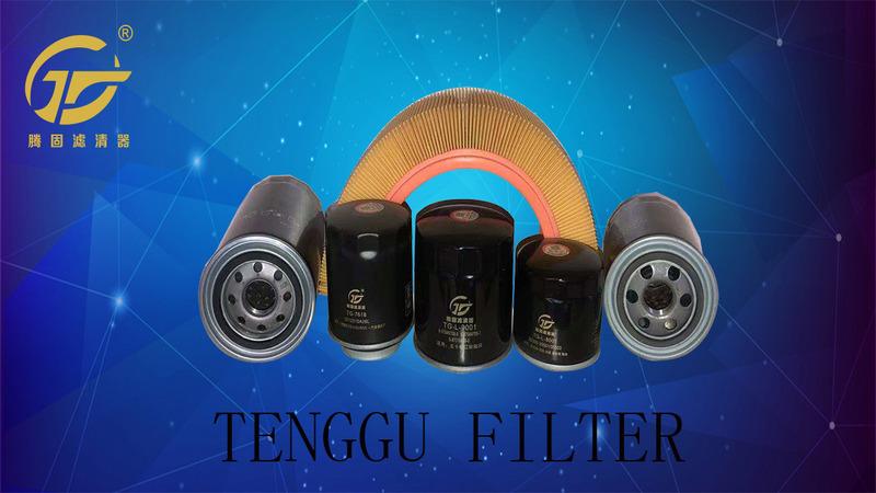 Verified China supplier - Jiangxi Tenggu Auto Filter Co., Ltd