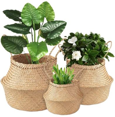 China Viable Plant Plankton Woven Foldable Woven Basket with Handles Ideal for Storage Plant Pot Basket Laundry Picnic Plant Pot Cover Beach Bag for sale