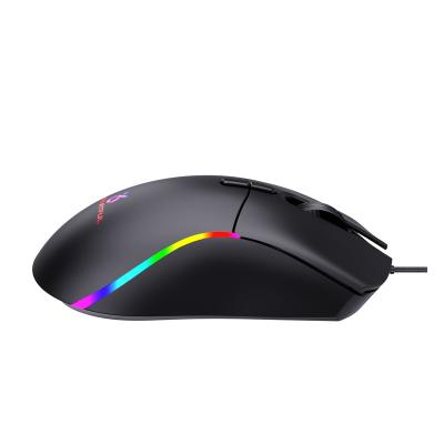 China Breathing RGB USB Mouse 2.4G Computer Computer Phone Gaming Lightweight Colorful Rechargeable Wireless Mouse for sale