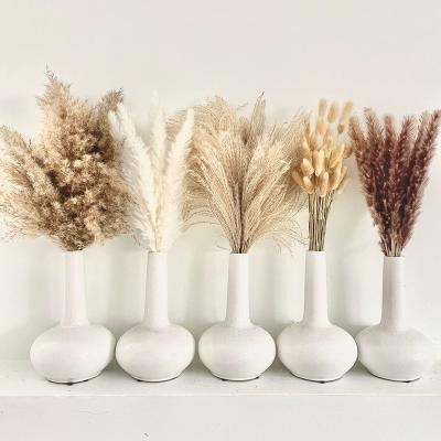 China Flowe Dried Flowers Amengni OAKOA 120 PCS Dried Pampas Grass Decor - Boho Flower Arrangements - Pompas Fluffy Grass for sale