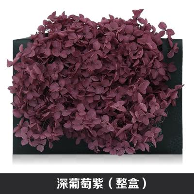 China Flower Dried Flowers Amengni Anna Hydrangea Preserved Flower Rose Eternal Gift for sale