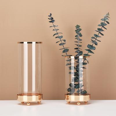 China Nordic Art Decor European Light Cylinder Gold Pedestal Hydroponic Flower Vase Luxury Transparent Glass Ornaments Tall for sale