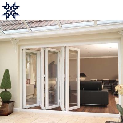 China Magnetic Screen High Quality Aluminum Mirrored Glass Exterior Double Folding Door for sale