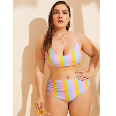 China Colorful Striped Rainbow Anti-UV Plus Size Bikini for sale