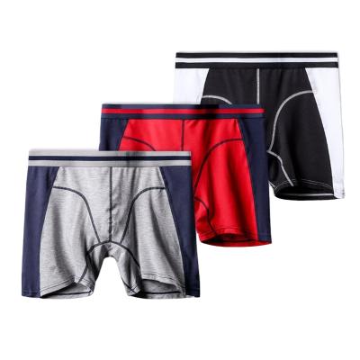 China Antibacterial Hot Selling Men's Boxer Briefs OEM Logo Male Underwear for sale