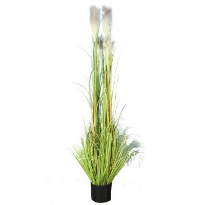 China Decorative Potted Bonsai Plants Artificial Pampas Reed Beautiful Mini Reed Grass Fashional Artificial Flowers For Wholesale for sale