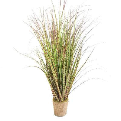 China Durable Nordic Home Decoration Onion Grass Office Decoration Striped Hotel Garden Decoration for sale