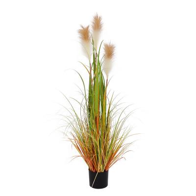 China Fashional New Artificial Flowers Recommend Home Decorative Reed Flower Large Dried Wedding Fluffy Reeds Dry Flowers Natural Pampas Grass for sale