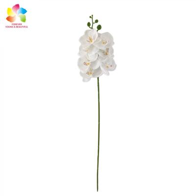 China Well-designed Eco-friendly Medium 3d Printing Artificial Latex 7 Heads Singal Orchid Flowers For House Garden Wedding Decoration for sale