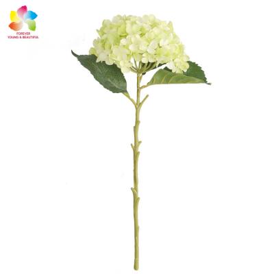 China Band Artificiais Hydrangea Flowers Simulation Flower For Wedding Home Decor for sale