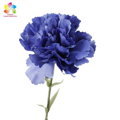 China Real Touch Factory Sale Soft Rubber Silk Carnation Customizable Color Decorative Artificial Flower For Wedding And Party for sale