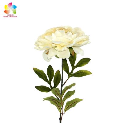 China Environmental Protection Flower Manufacturer Home Decoration Wholesale China Artificial Flower Wedding Flowers Dry Peony for sale